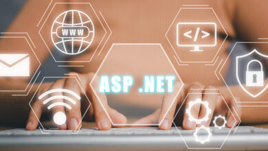 برنامه نویس asp.net چیست